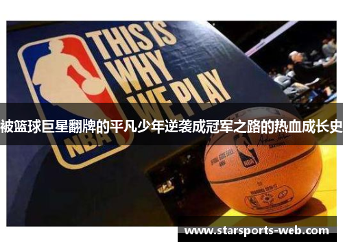 被篮球巨星翻牌的平凡少年逆袭成冠军之路的热血成长史